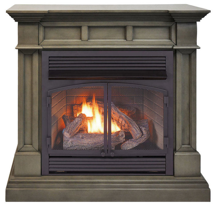 Darby Home Co Duluth Vent Free Natural Gas/Propane Fireplace
